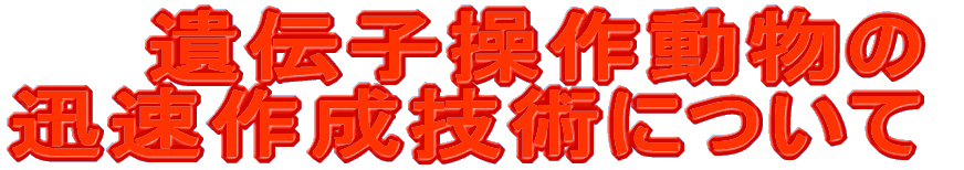 `q쓮 v쐬Zpɂ